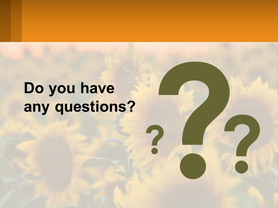 Field Of Sunflowers PowerPoint Template