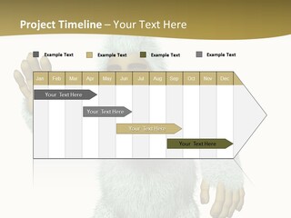 Snowman PowerPoint Template