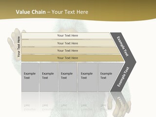 Snowman PowerPoint Template