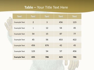 Snowman PowerPoint Template