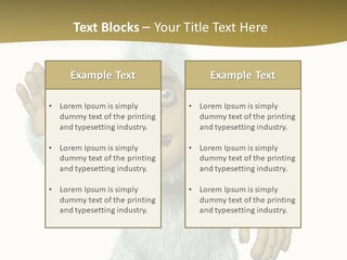 Snowman PowerPoint Template