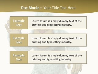 Snowman PowerPoint Template