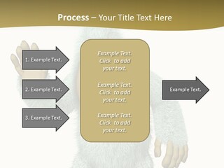 Snowman PowerPoint Template