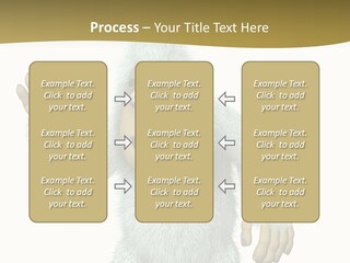 Snowman PowerPoint Template