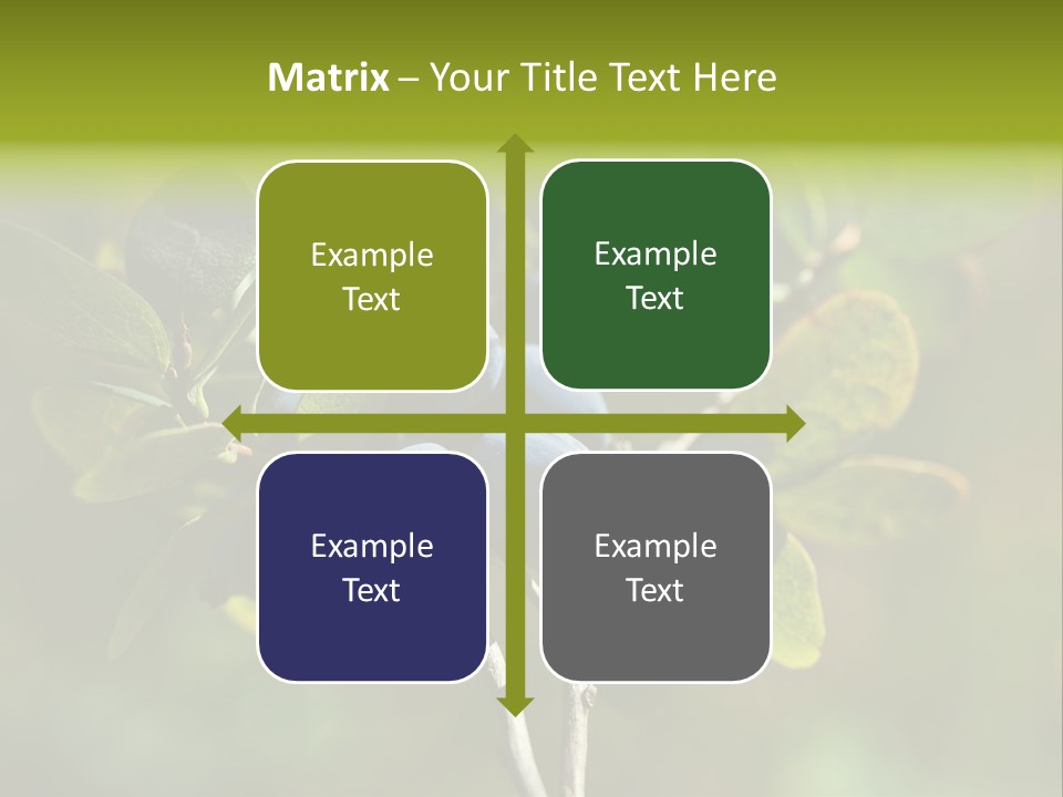 Blueberry PowerPoint Template