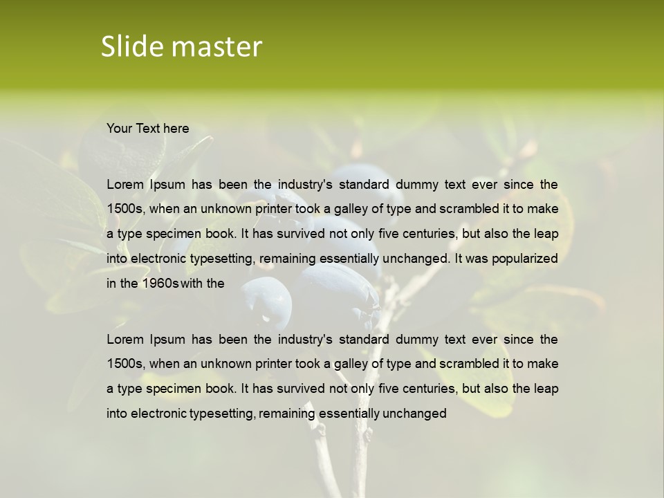 Blueberry PowerPoint Template