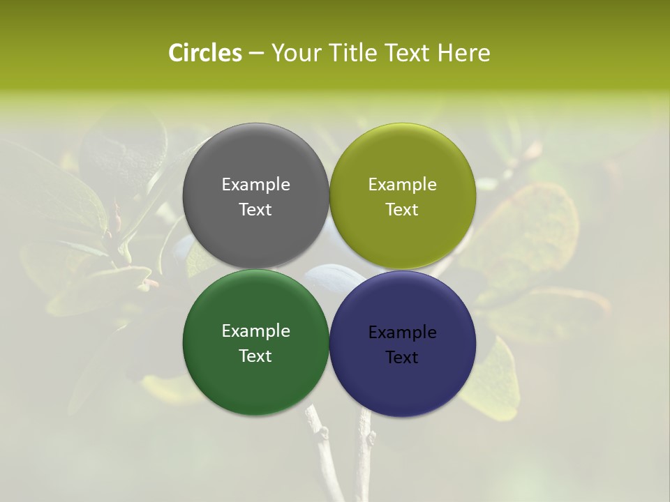 Blueberry PowerPoint Template