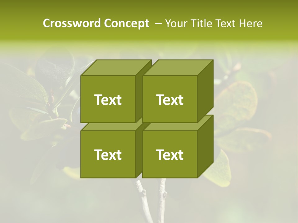 Blueberry PowerPoint Template