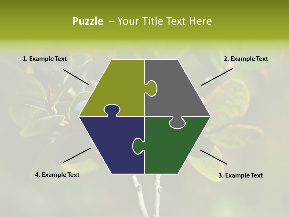 Blueberry PowerPoint Template