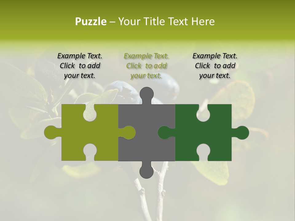 Blueberry PowerPoint Template