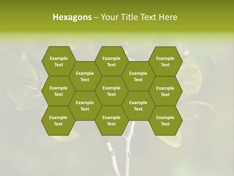 Blueberry PowerPoint Template