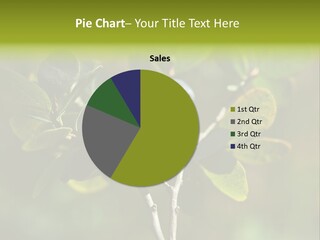 Blueberry PowerPoint Template
