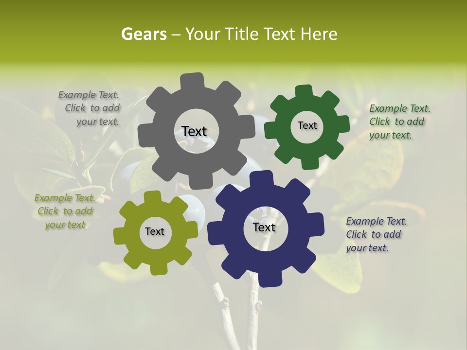 Blueberry PowerPoint Template