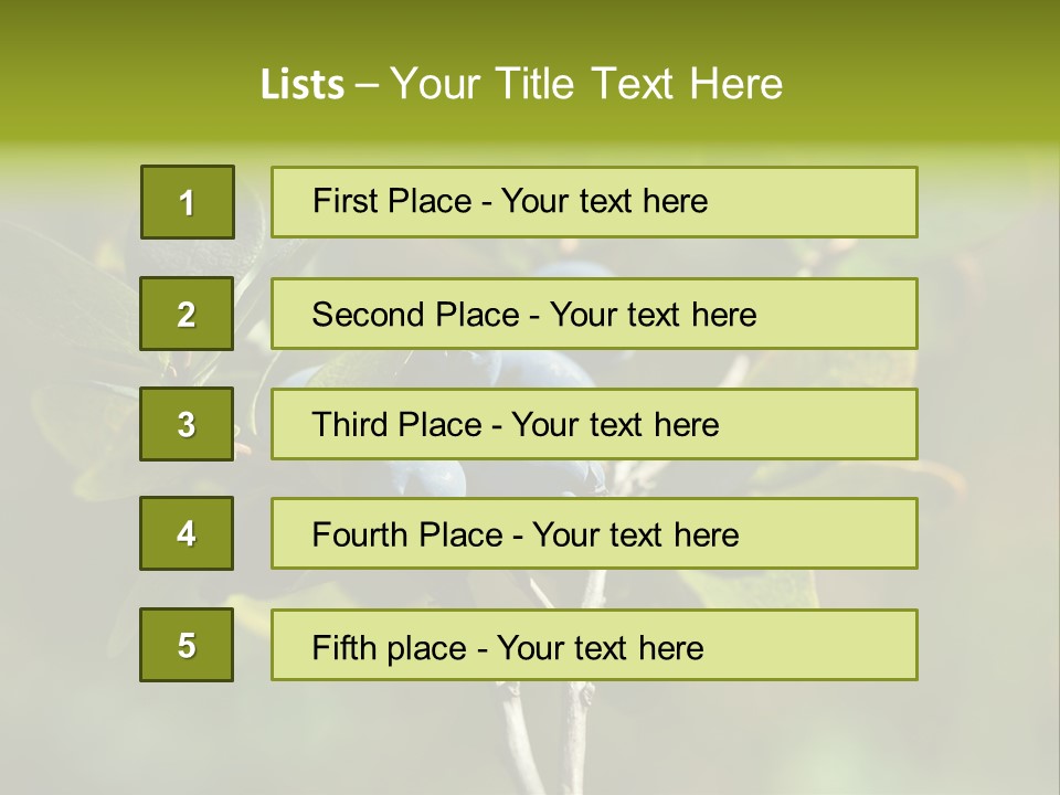 Blueberry PowerPoint Template