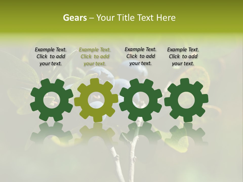 Blueberry PowerPoint Template