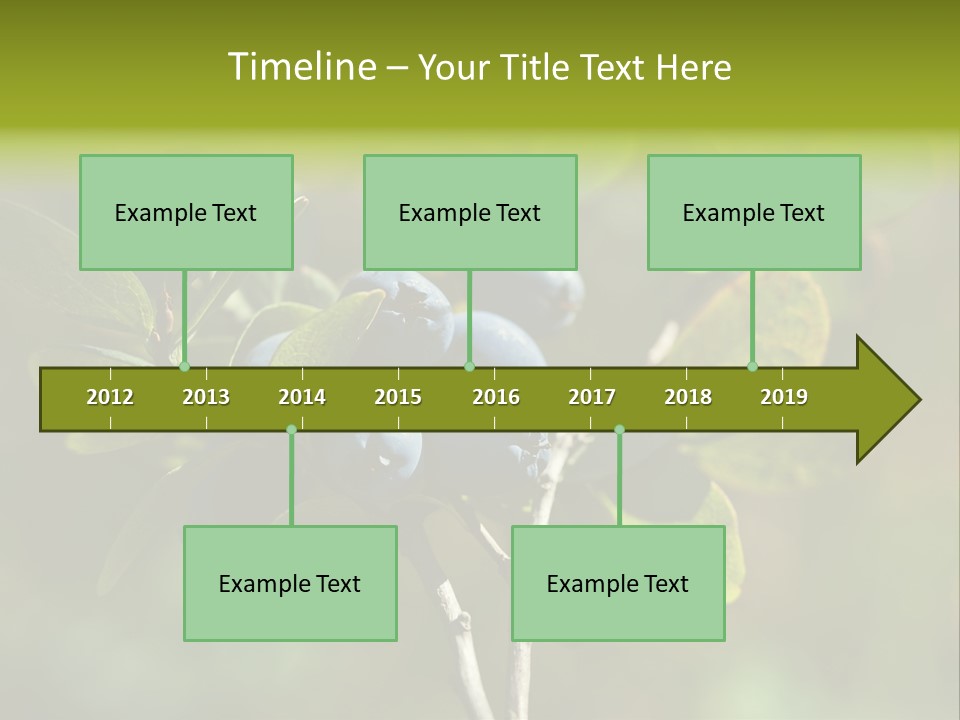 Blueberry PowerPoint Template