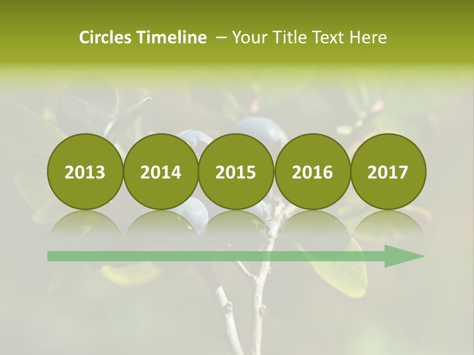 Blueberry PowerPoint Template