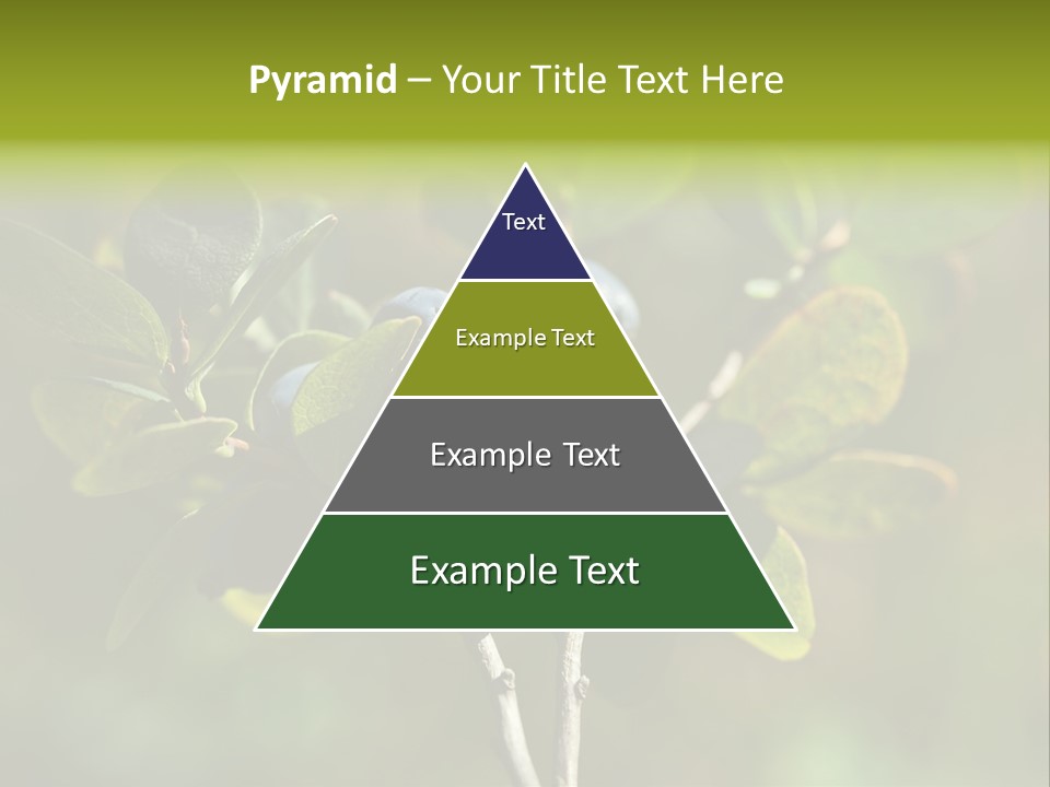 Blueberry PowerPoint Template