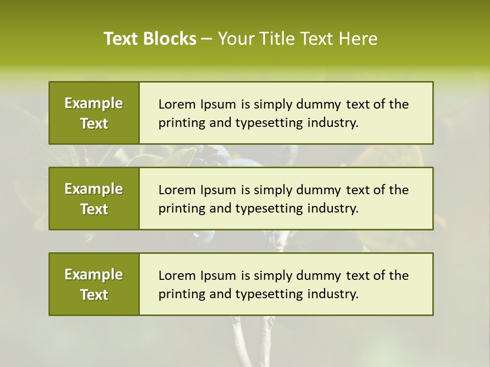 Blueberry PowerPoint Template