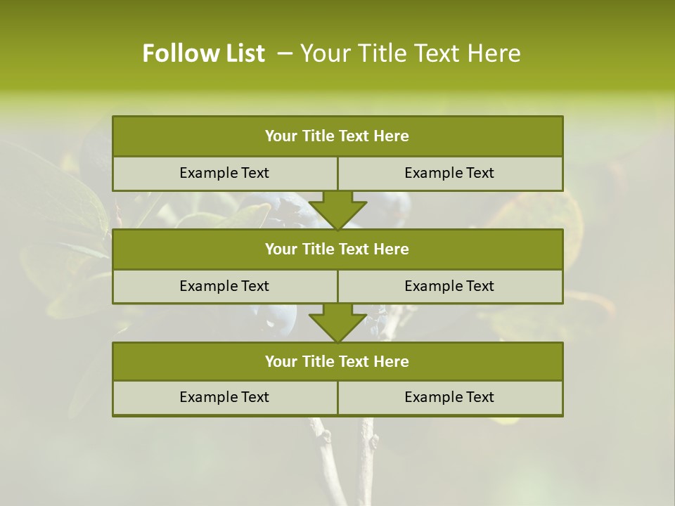 Blueberry PowerPoint Template