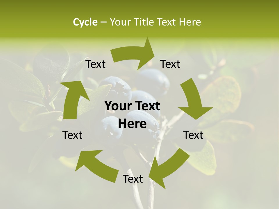 Blueberry PowerPoint Template