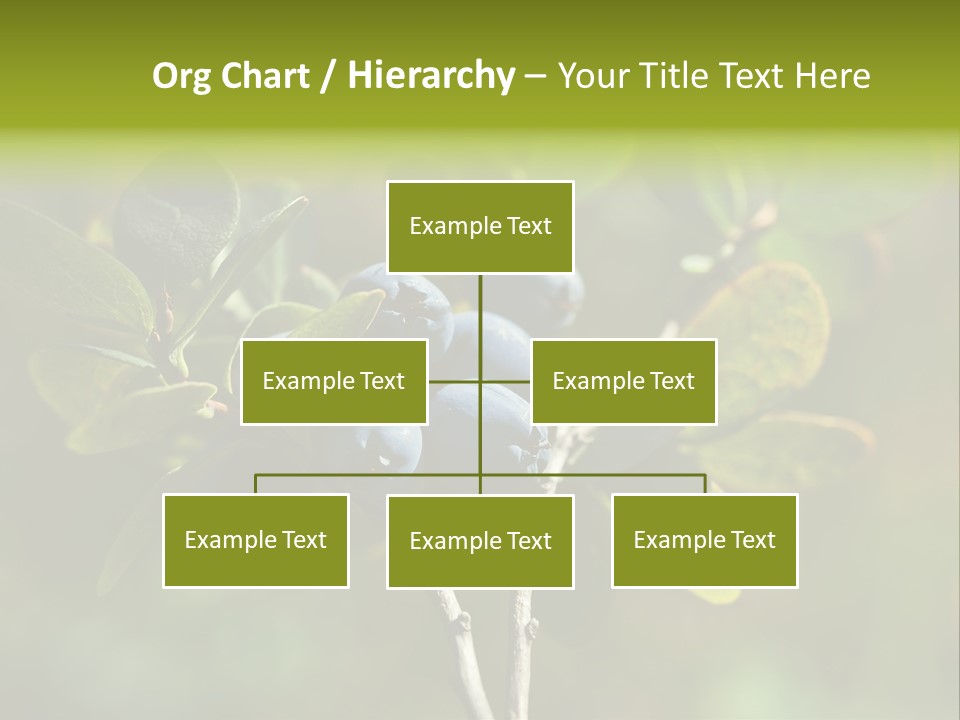Blueberry PowerPoint Template