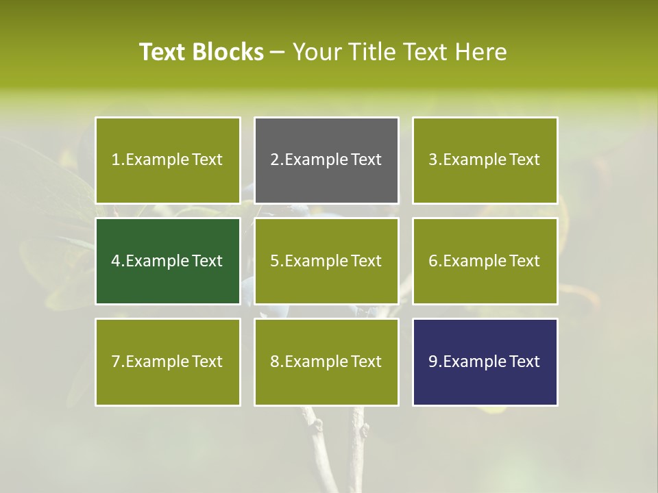 Blueberry PowerPoint Template