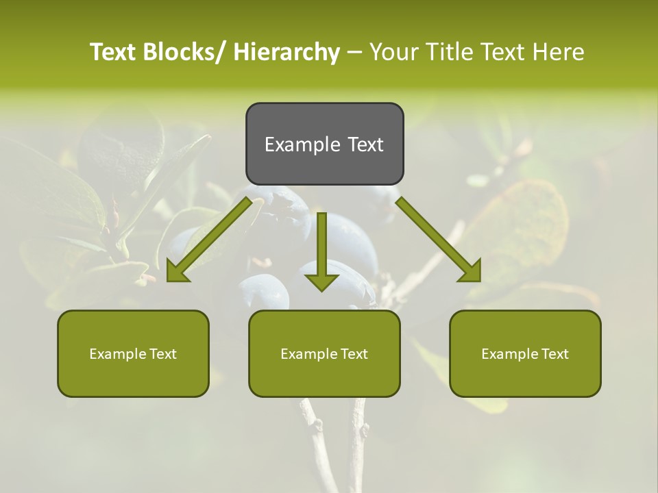 Blueberry PowerPoint Template