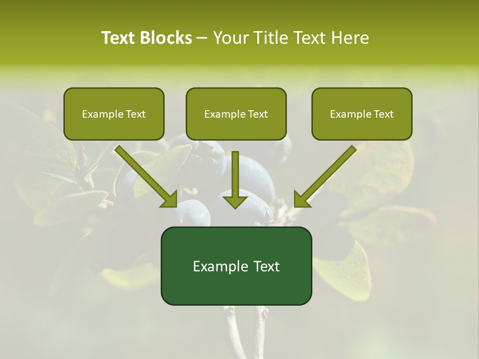Blueberry PowerPoint Template