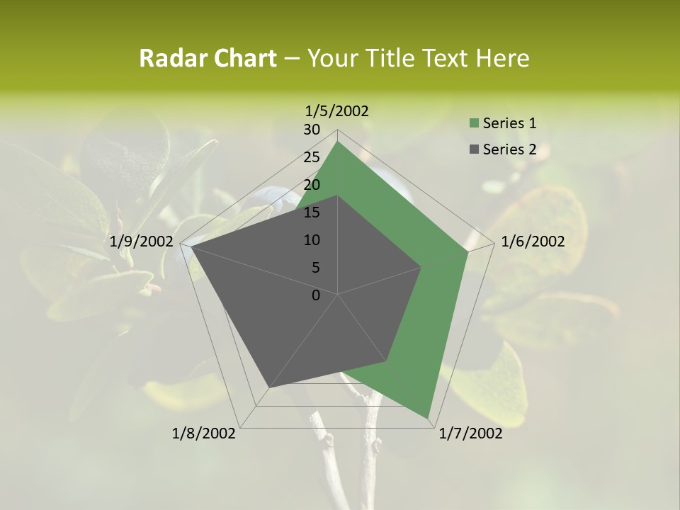 Blueberry PowerPoint Template