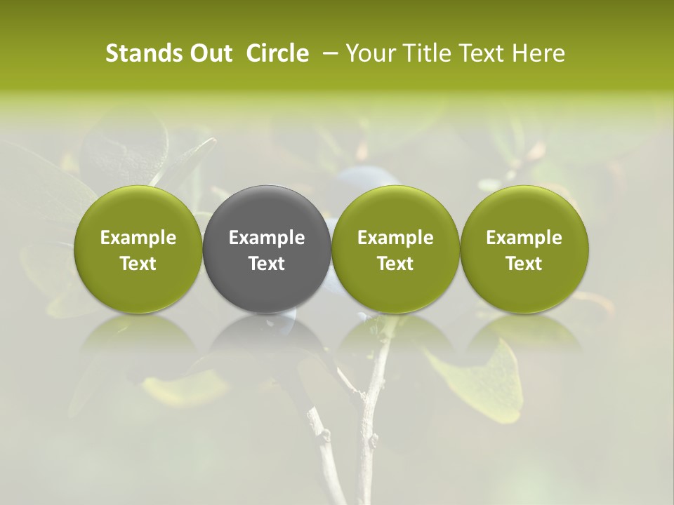 Blueberry PowerPoint Template