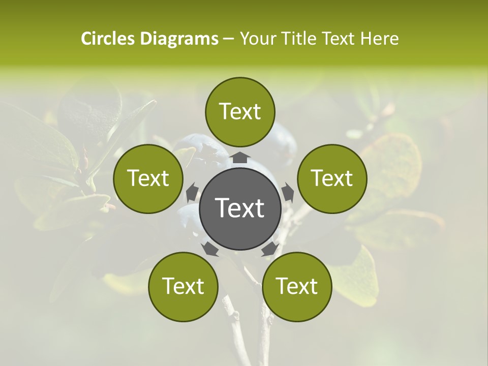 Blueberry PowerPoint Template