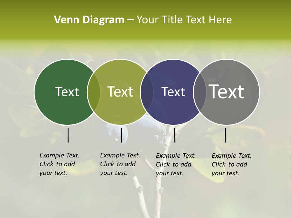 Blueberry PowerPoint Template