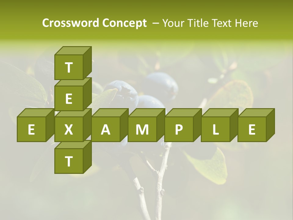 Blueberry PowerPoint Template