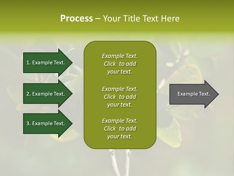 Blueberry PowerPoint Template