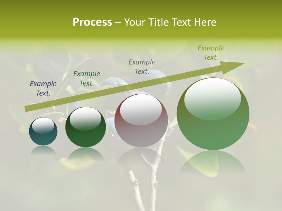 Blueberry PowerPoint Template