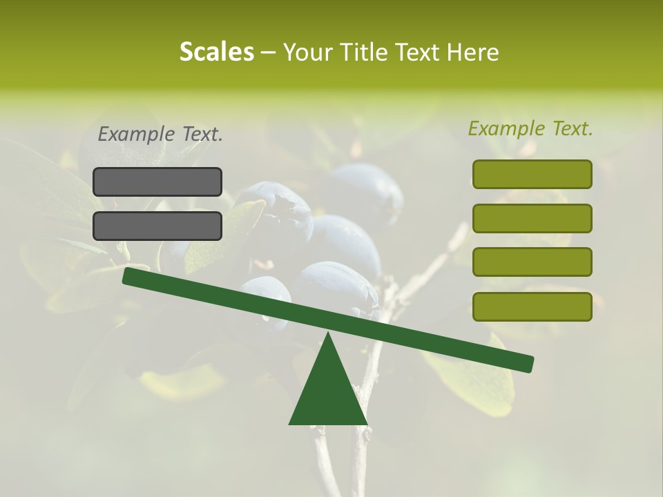 Blueberry PowerPoint Template