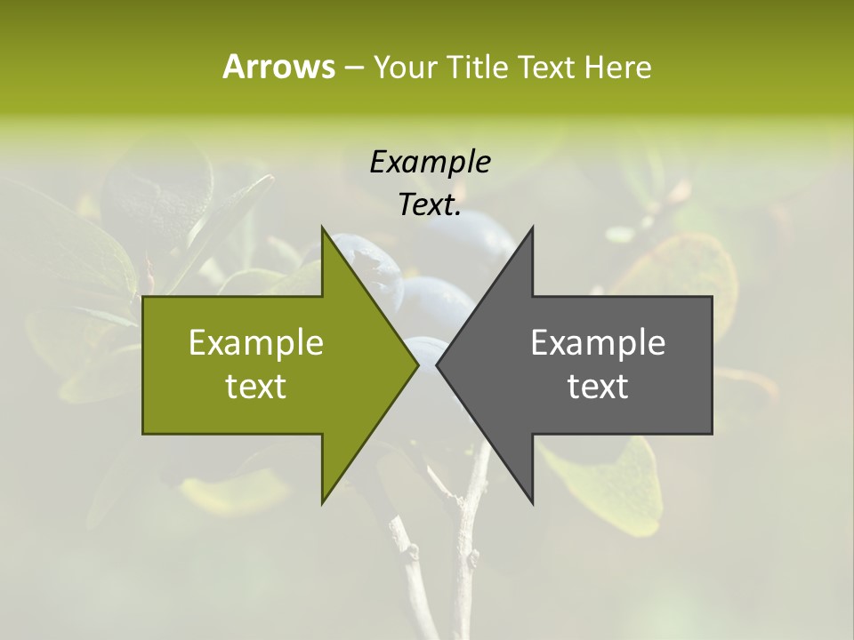 Blueberry PowerPoint Template