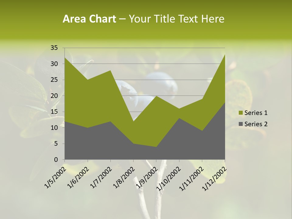 Blueberry PowerPoint Template