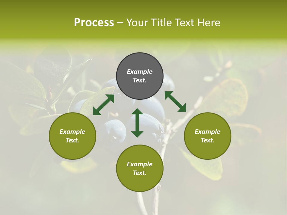 Blueberry PowerPoint Template