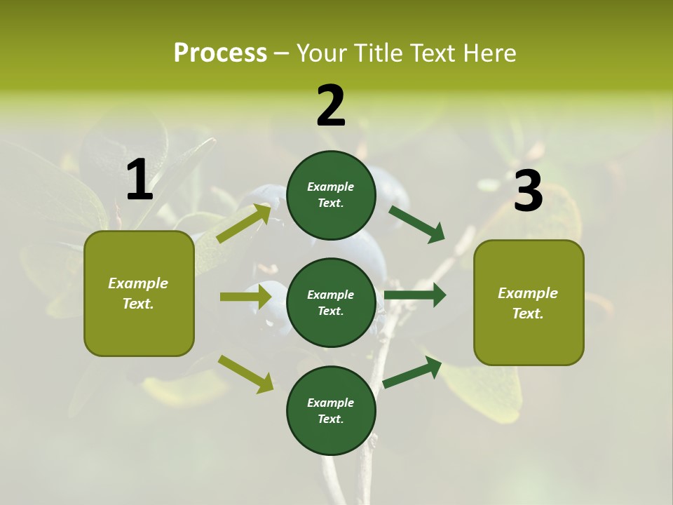 Blueberry PowerPoint Template