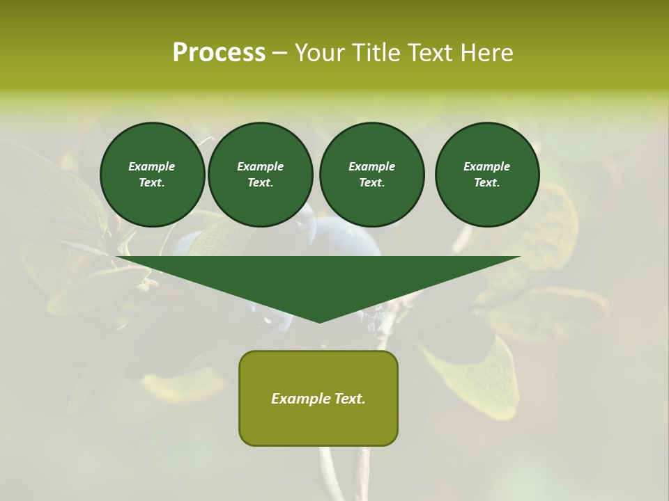 Blueberry PowerPoint Template