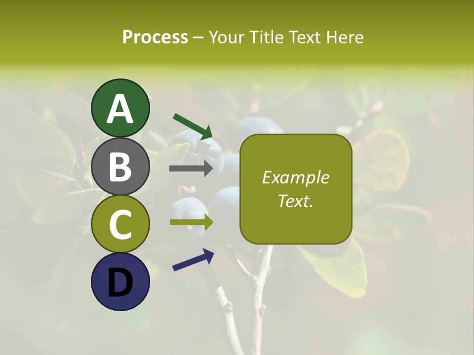 Blueberry PowerPoint Template