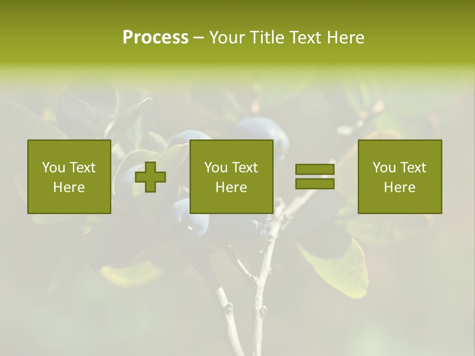 Blueberry PowerPoint Template