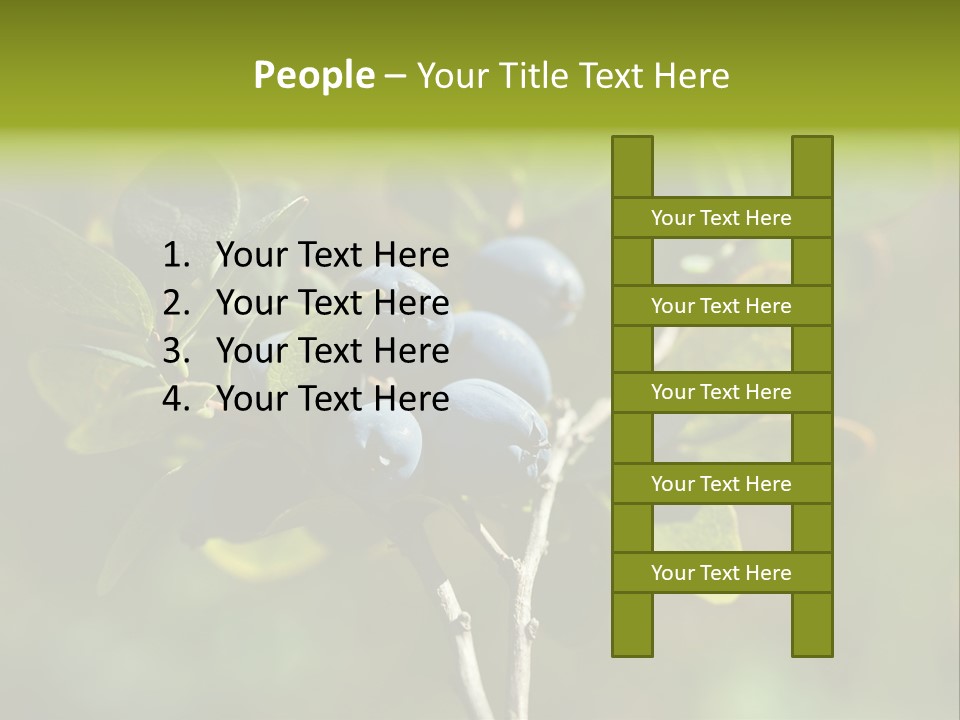 Blueberry PowerPoint Template