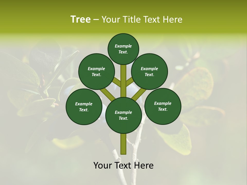 Blueberry PowerPoint Template