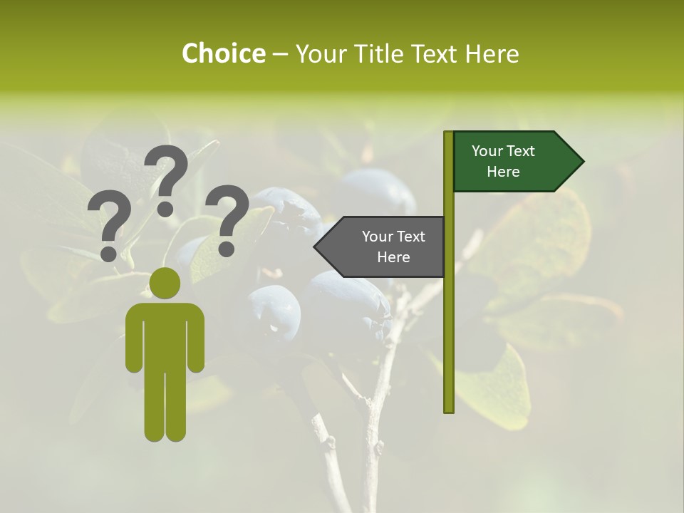 Blueberry PowerPoint Template