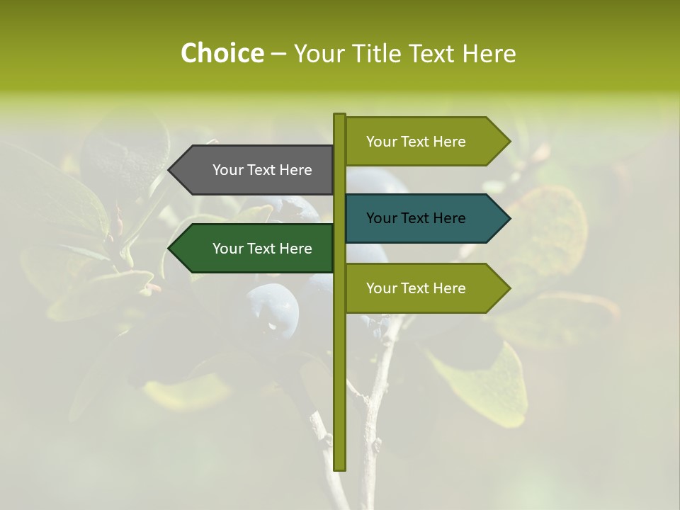 Blueberry PowerPoint Template
