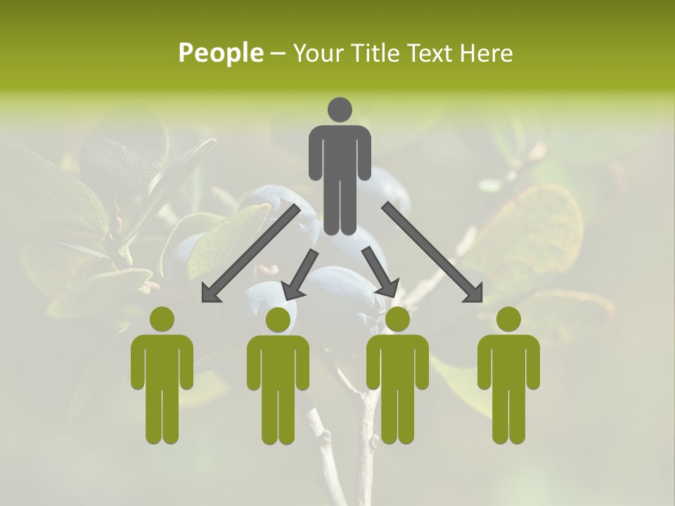 Blueberry PowerPoint Template