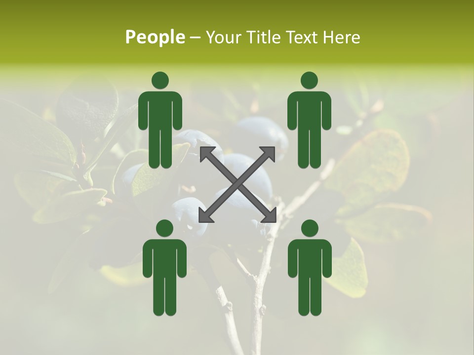 Blueberry PowerPoint Template